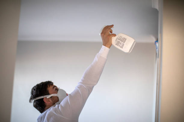 Best Attic Mold Removal  in Rushford, MN