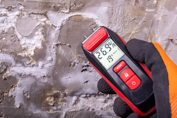 Crawl Space Mold Removal in Rushford, MN