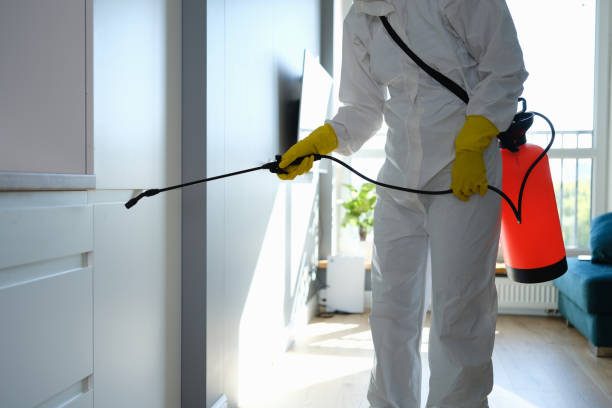 Best Mold Testing  in Rushford, MN