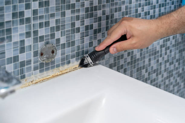 Best Mold Removal Specialists  in Rushford, MN